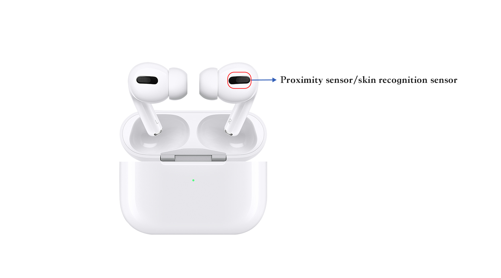 畫(huà)板 1 拷貝 6.png